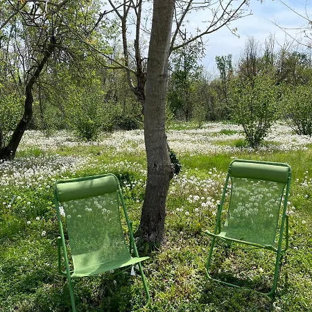 Beinalot Bene Vagienna