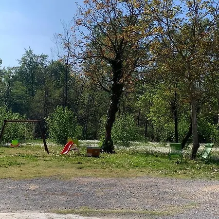 Beinalot 贝内瓦吉恩纳