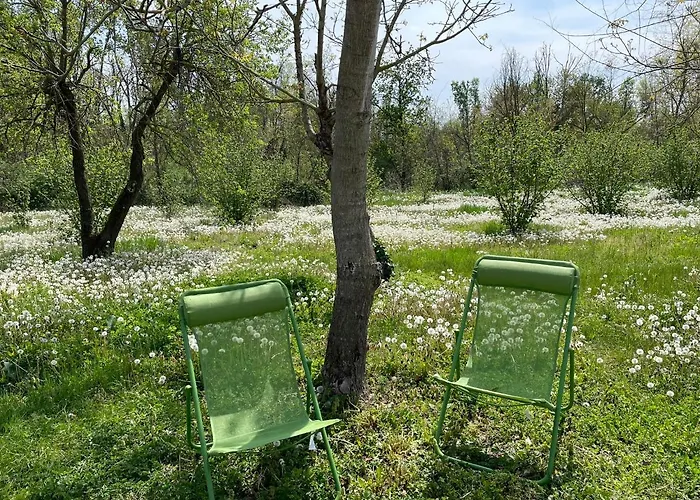 Beinalot Bene Vagienna